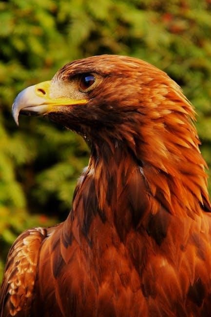 on eagles wings pdf