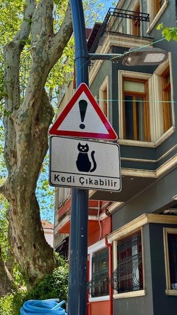instruction imi