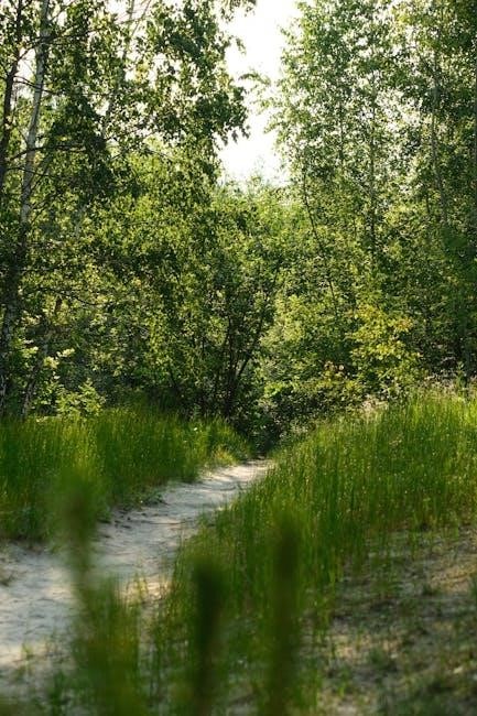 japji sahib path in punjabi pdf