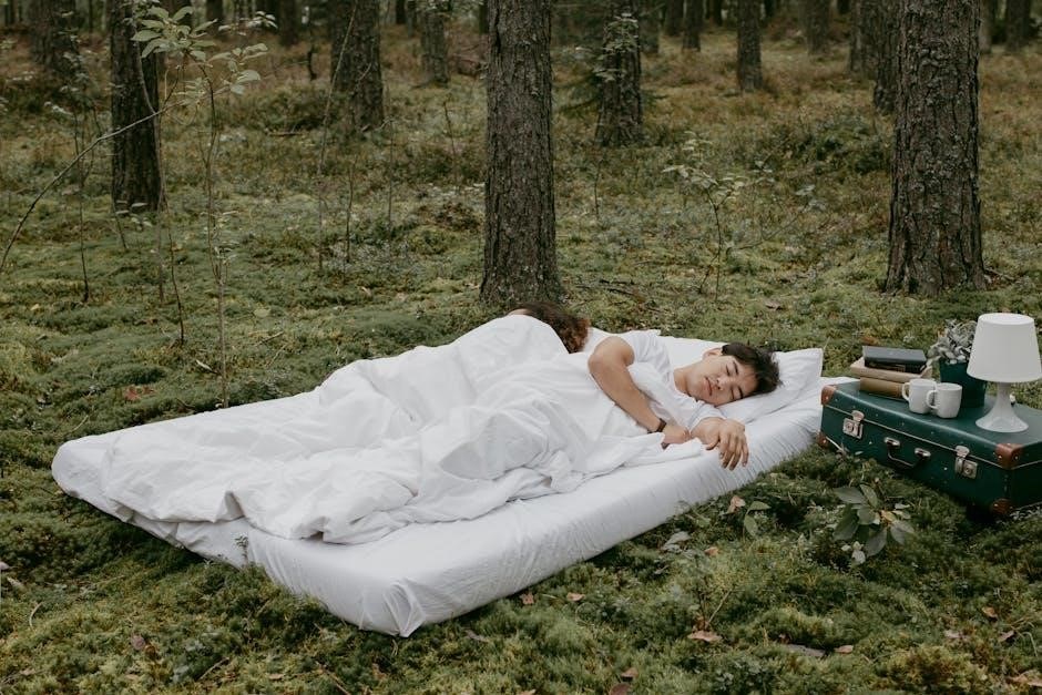 intex air mattress built in pump instructions