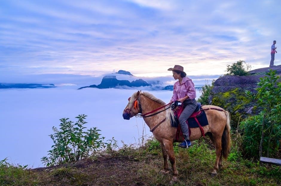 vista 50 programming manual