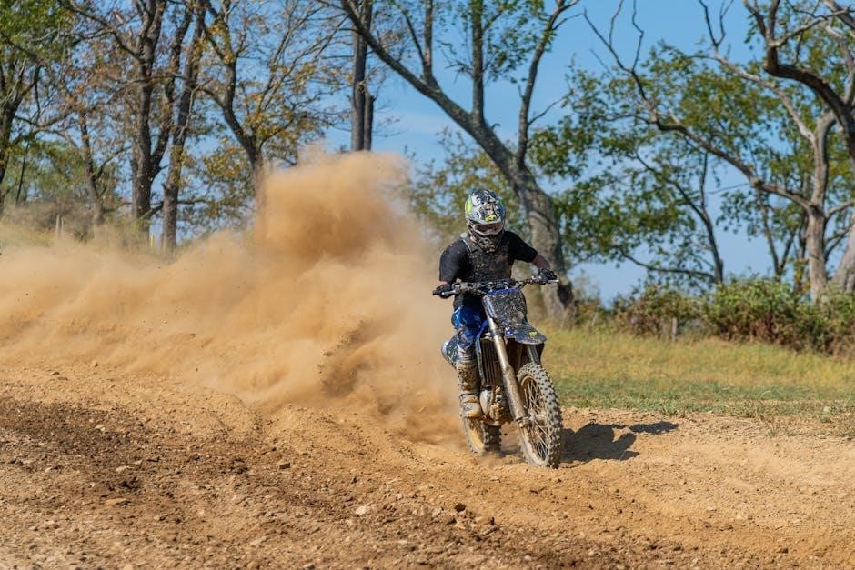 the action bible pdf free